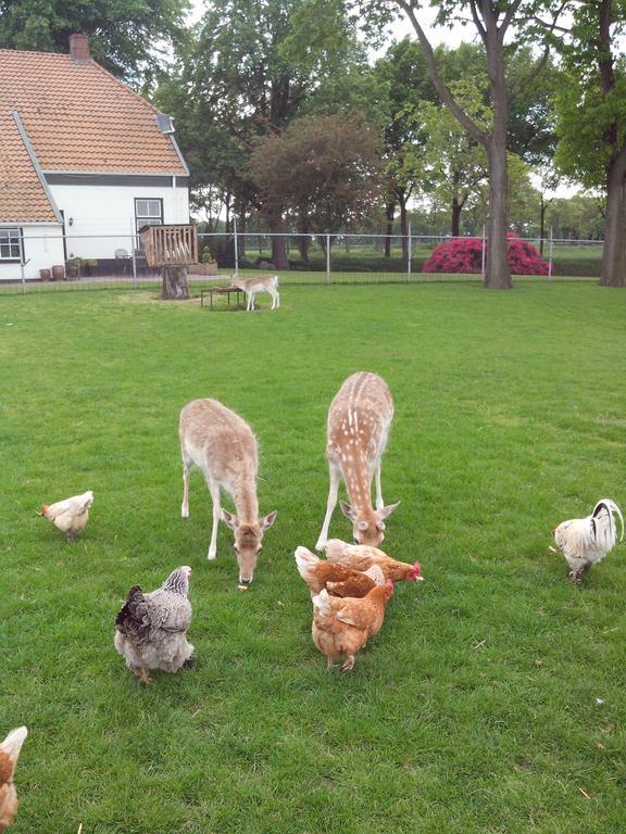 Bed En Breakfast Westerwolde Apartman Sellingen Kültér fotó