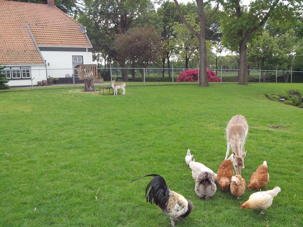 Bed En Breakfast Westerwolde Apartman Sellingen Kültér fotó